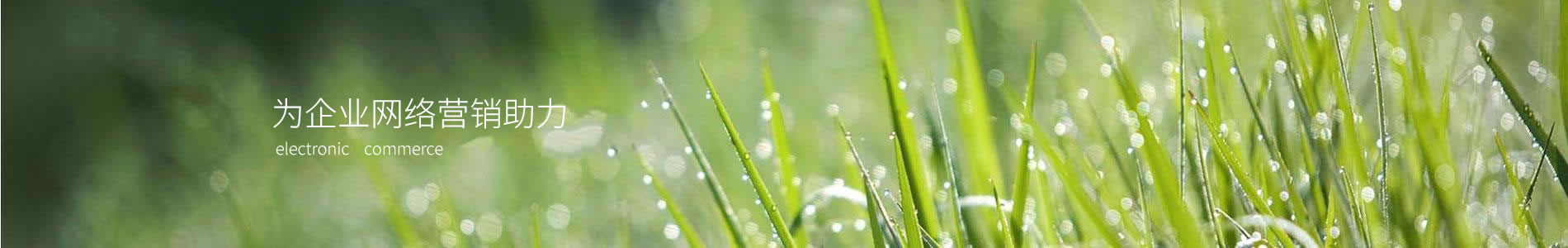ݸڱ޹˾